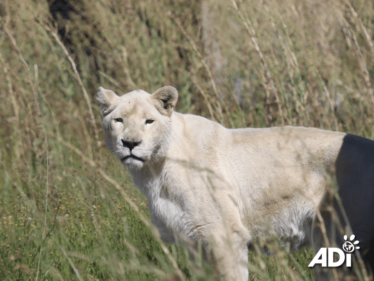 Out and about with Elsa and&nbsp;Lei-ah