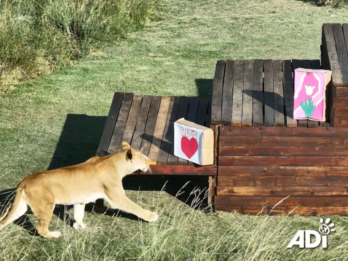 Wishing you a wonderful Valentine’s weekend