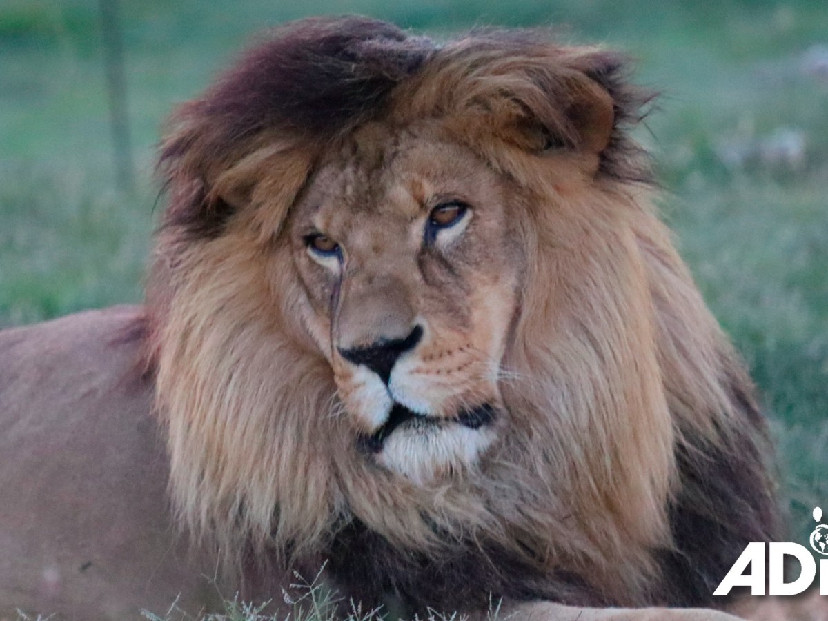 The boys are back in&nbsp;town