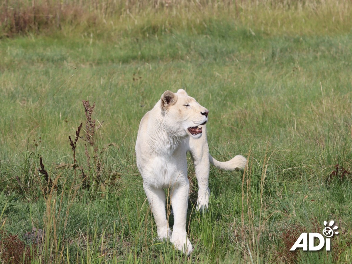 Happy birthday to one of our VIP&nbsp;guests