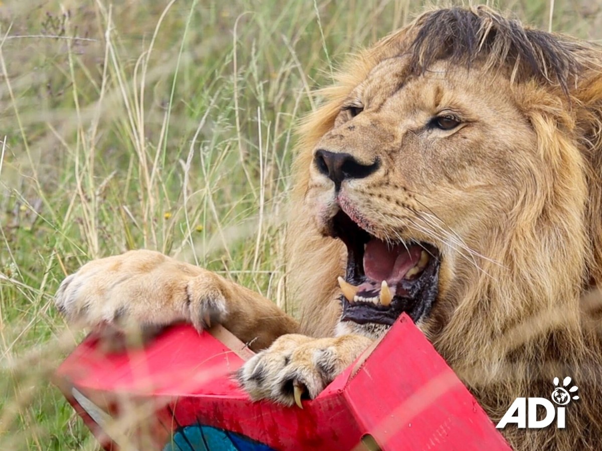 Have a wild Easter&nbsp;holiday!