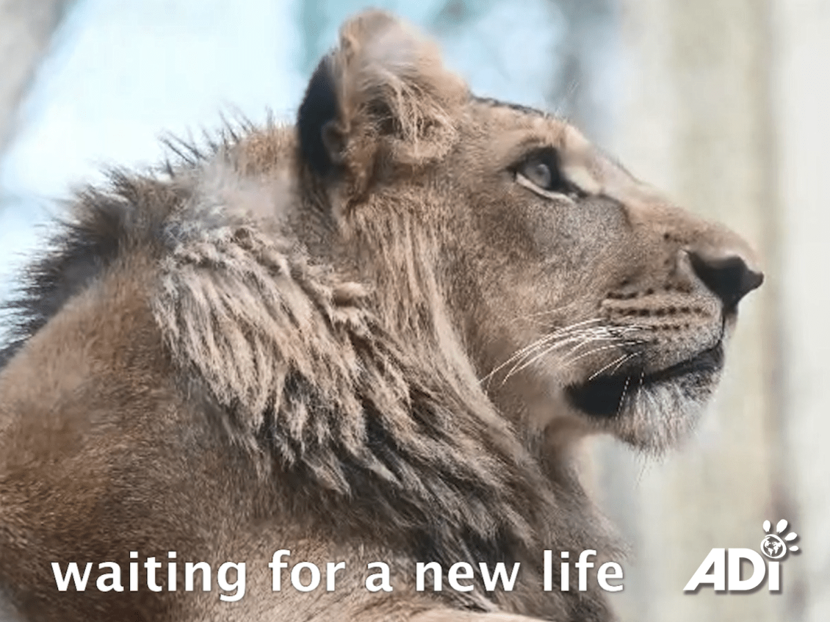 Is their wait nearing its&nbsp;end?