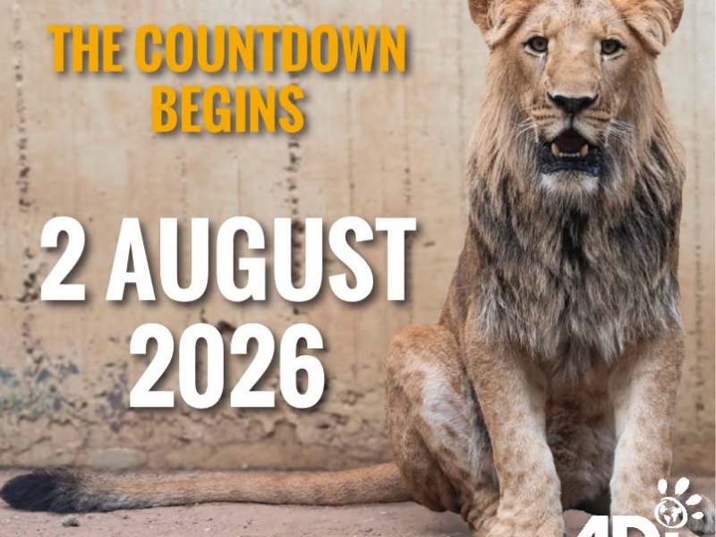 The wait is almost&nbsp;over