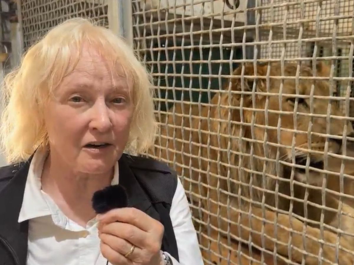 Journey to sanctuary: BenTzur and&nbsp;Ori
